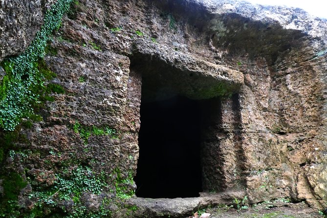 Alghero: Private Archaeological Tour (Transfer Included) With Local Guide - Price and Booking Information