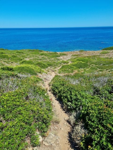 Alghero: Secret Beaches & Coastal Tour by Land - Itinerary Overview