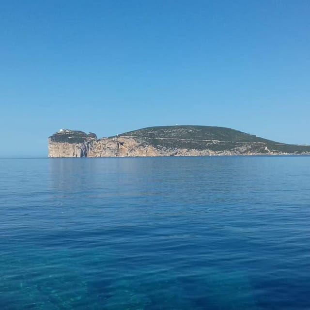 Alghero: Snorkelling and Tour of Capo Caccia Cliffs - Additional Features of the Experience
