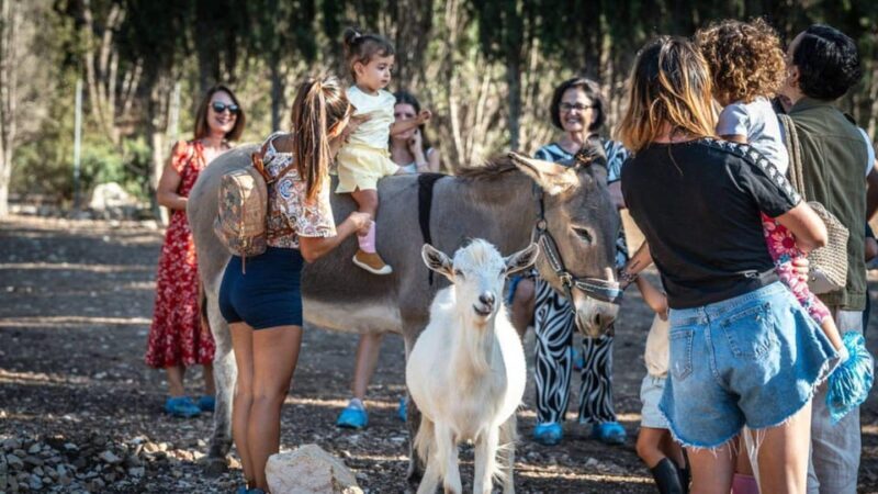 Alghero: visit an animal shelter in Olmedo - A Genuine Connection with the Animals