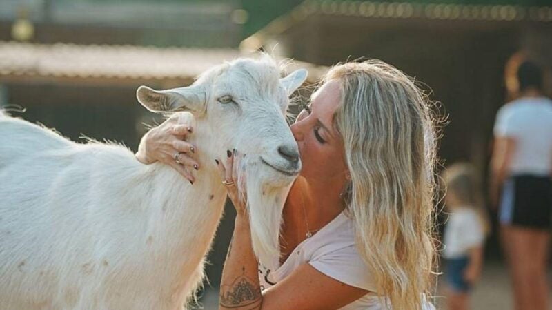 Alghero: Visit an Animal Shelter With Lunch or Dinner - Engaging With Animals