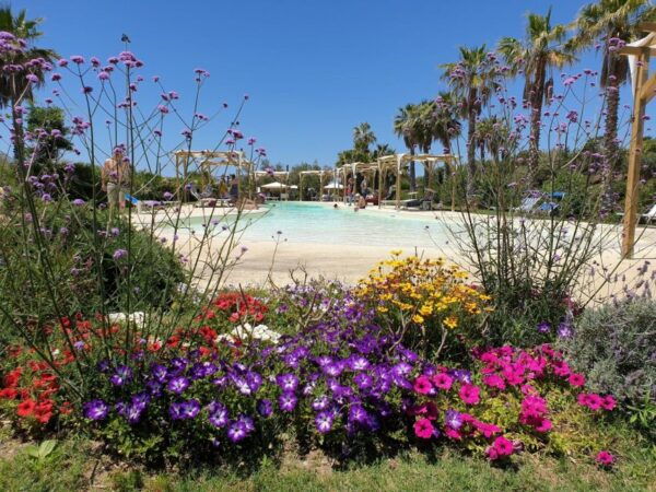Alghero: Visit at the Butterfly House - Frequently Asked Questions