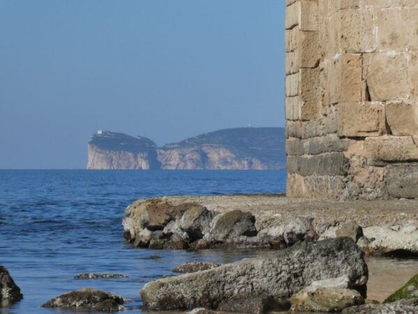 Alghero Walking Tour With Local Guide - Highlights of the Tour