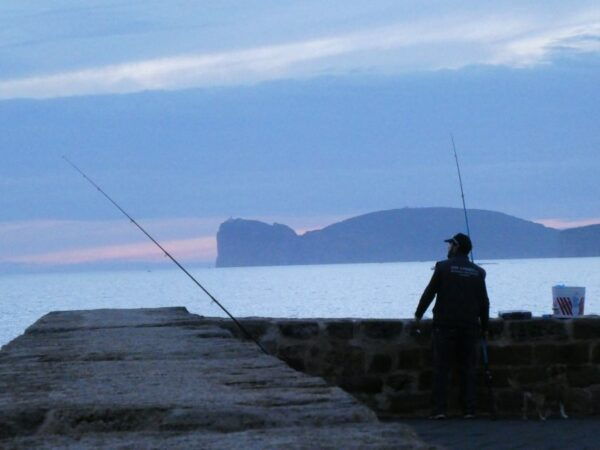 Alghero Walking Tour With Local Guide - Itinerary of the Walking Tour