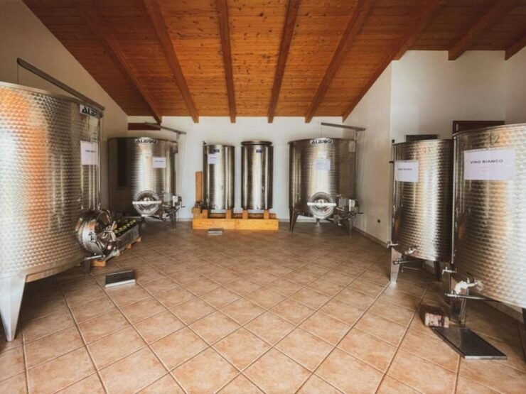 Alghero: Wine Tasting W/ Local Aperitif in the Vineyard - Good To Know