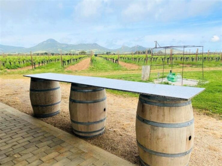 Alghero: Wine Tasting W/ Local Aperitif in the Vineyard - Booking and Meeting Details