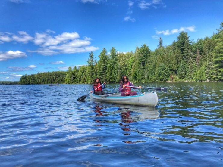 Algonquin Park: Adventure Tour From Toronto - Tour Highlights
