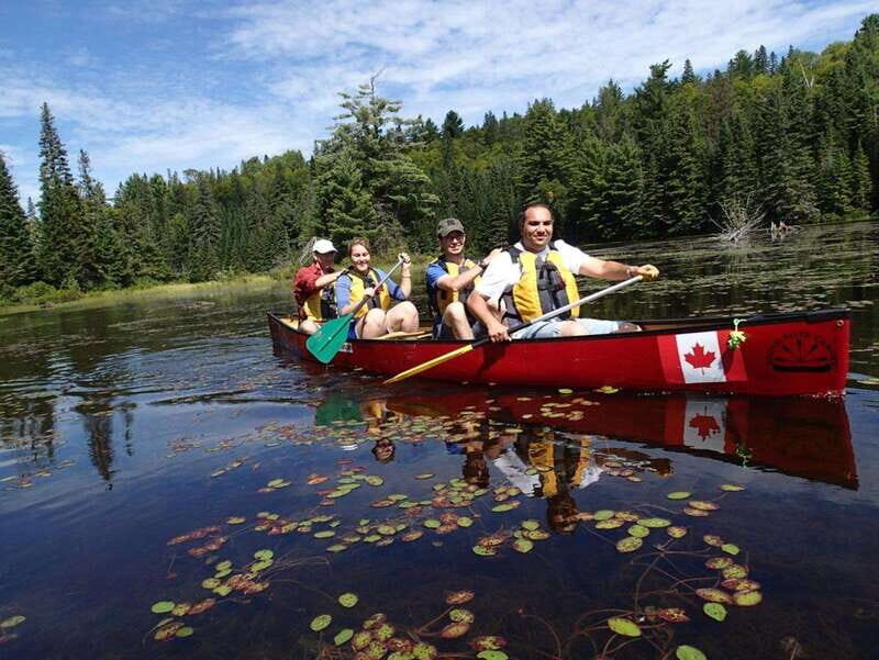 Algonquin Park: Guided Canoe Day Tour - Good To Know