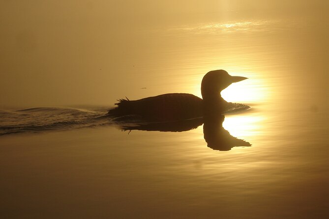 Algonquin Park Luxury 3-Day Camping & Canoeing: Moose/Beaver/Turtle Adventure - Sleeping Bag Odor