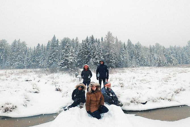 Algonquin Park Winter Adventure - Scenic Trails