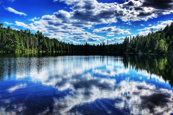 Algonquin Provincial Park Day Tour From Toronto - Traveler Photos and Reviews