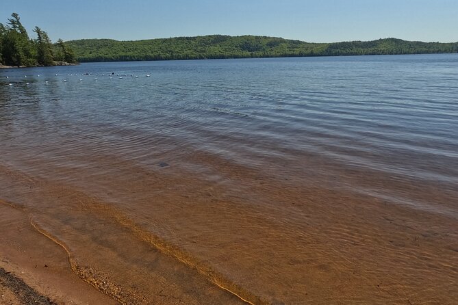 Algonquin Provincial Park Full Day Trip - Trip Duration and Transportation