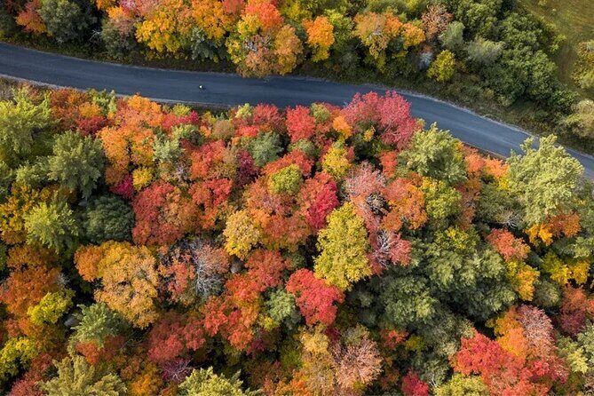 Algonquin Shuttle from Toronto - Good To Know  
