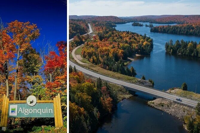 Algonquin Shuttle from Toronto - An In-Depth Look at the Tour Itinerary