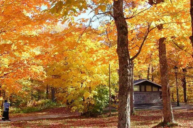 Algonquin Shuttle from Toronto - Pricing & Overall Value