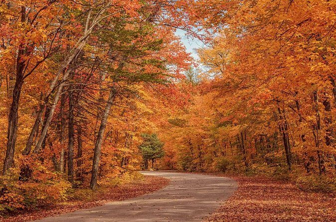 Algonquin Shuttle from Toronto - FAQs