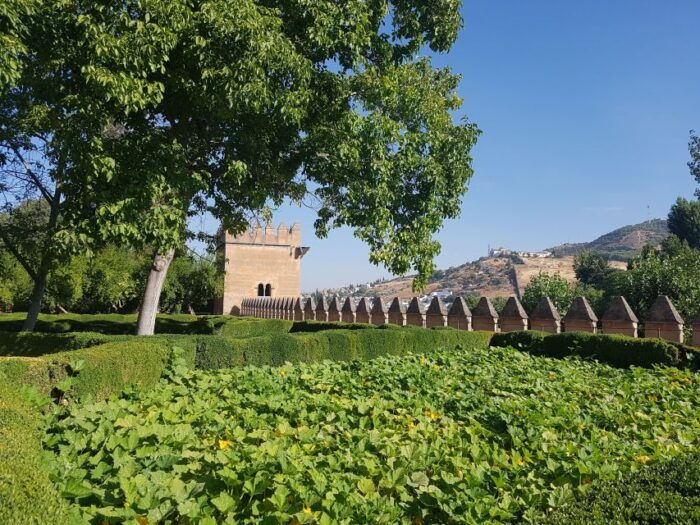 Alhambra: Generalife Gardens & Alcazaba Fast-Track Tour - What to Expect on the Tour