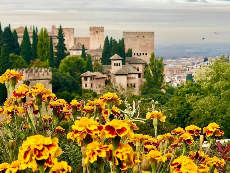 Alhambra: Guided Private Tour with Fast-Track Entry - FAQs