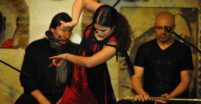 Alhambra Guided Tour and Flamenco Show With Optional Dinner - Flamenco Show