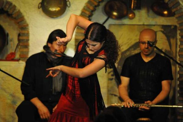 Alhambra Guided Tour and Flamenco Show With Optional Dinner - Frequently Asked Questions