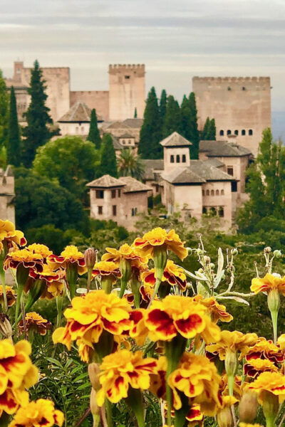 Alhambra: Guided Tour With Fast-Track Entry - Visiting the Nasrid Palaces
