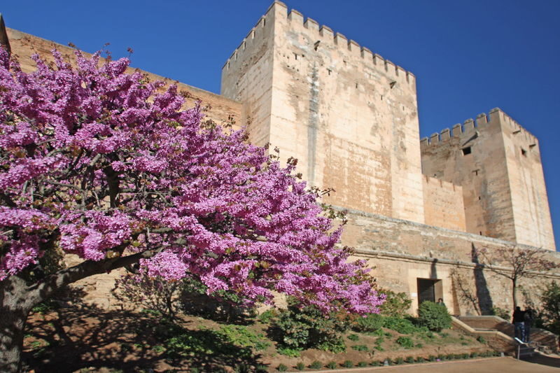 Alhambra Guided Tour with Options for Nasrid Palace and Transfers - Three hours, and how the schedule works
