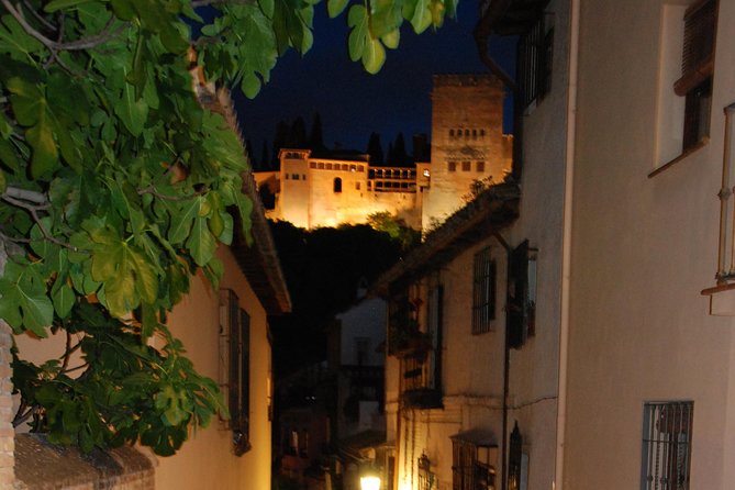 Alhambra: Night Visit to Nasrid Palaces - Positive Experiences