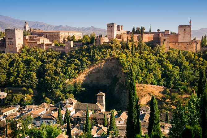 Alhambra Private/Small Group Tour & Nasrid Palaces Skip the Line - Whats Included