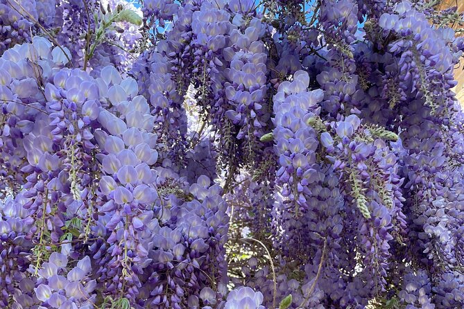 Alhambra Private Tour - The Sum Up