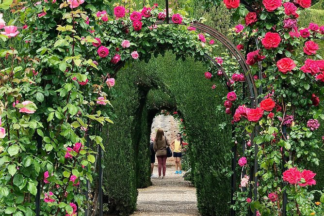 Alhambra Private Tour From Almeria: With Transport and Skip-The-Line-Tickets - Snacks and Drinks