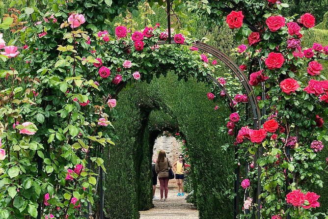 Alhambra Private Tour From Malaga: With Transport and Skip-The-Line-Tickets - Reviews