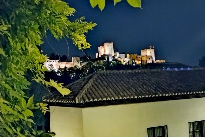 Alhambra Private Tour: Nasrid Palaces and Generalife - Reviews
