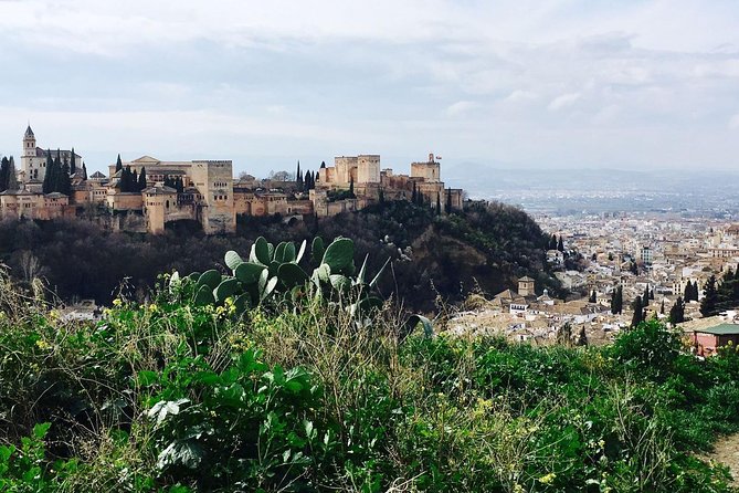 Alhambra Private Tour (Without Tickets) Total Price/Group Max 30 Pax - Pricing and Contact Information