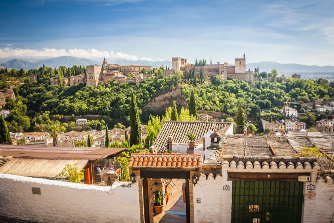 Alhambra Skip-The-Line Private Tour Including Nasrid Palaces - Overview of the Tour