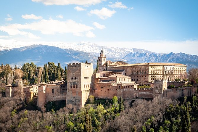 Alhambra: Small Group Tour With Local Guide & Admission - Positive Tour Experiences and Excellent Guides