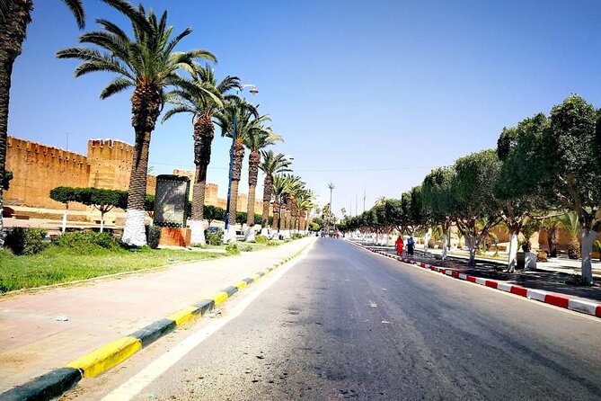 Ali Baba Oasis And The Old Medina Of Taroudant Private Day Tour - Exploring the Walled City of Taroudant