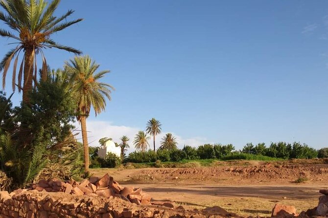 Ali Baba Oasis And The Old Medina Of Taroudant Private Day Tour - Flexibility and Personal Service