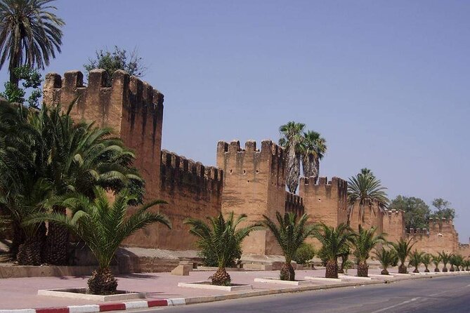 Ali Baba Oasis And The Old Medina Of Taroudant Private Day Tour - Pricing Information and Options