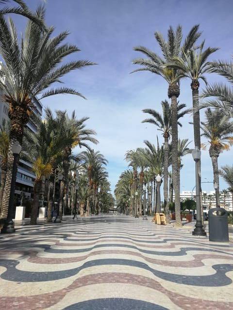 Alicante 360º Semi-Private Tour City, Culture, Tapas & Drink - Important Information