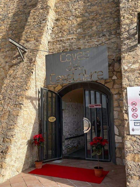 Alicante: Canelobre Caves & Busot Tour Including Transfer - Booking and Cancellation Policy