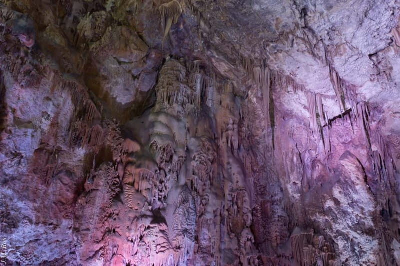 Alicante: Canelobre Caves & Busot Tour with Local Guide - FAQs