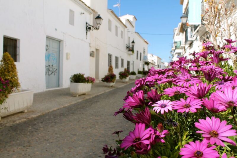 Alicante Charming Villages Tour: Villajoyosa and Altea - Who Should Consider This Tour?