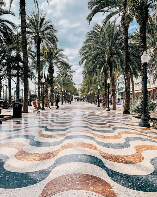 Alicante: City and El Palmeral Tour on City Bike - Activity Highlights