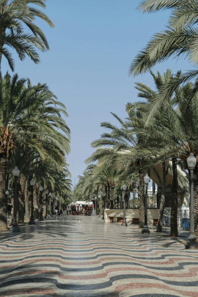 Alicante: City and El Palmeral Tour on City Bike - Booking Information