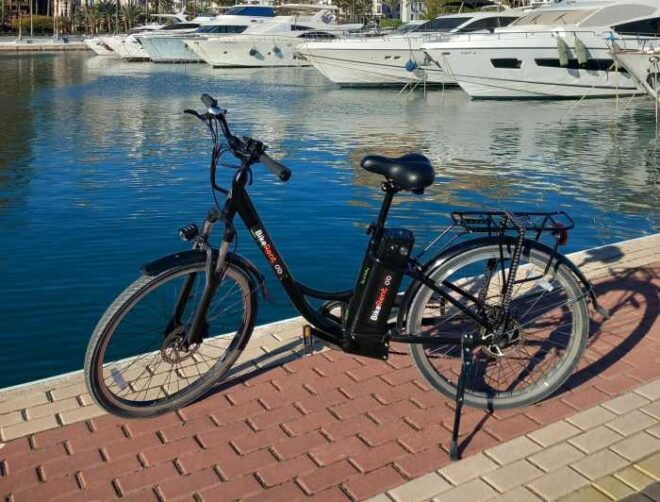 Alicante City Tour on E-Bike - Meeting Point and Services