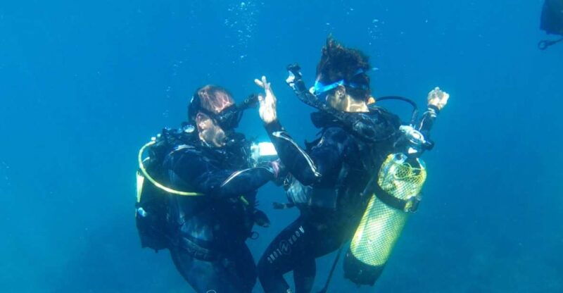 Alicante: Denia Beginners Scuba Diving Experience - Booking Information