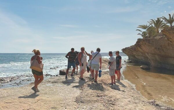 Alicante : E-Bike Coast Tour, Román Fishpond And Snorkeling - Common Questions