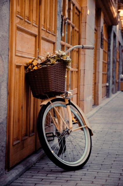 Alicante: Full Day City Bike Rental. - Good To Know