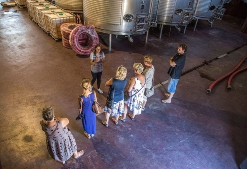 Alicante: Guided Tour of Local Winery & Wine Tasting - Itinerary