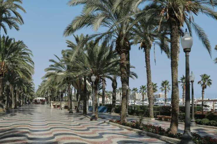 Alicante Highlights Tour: Discover Spain's Coastal Treasure - Duration and Price